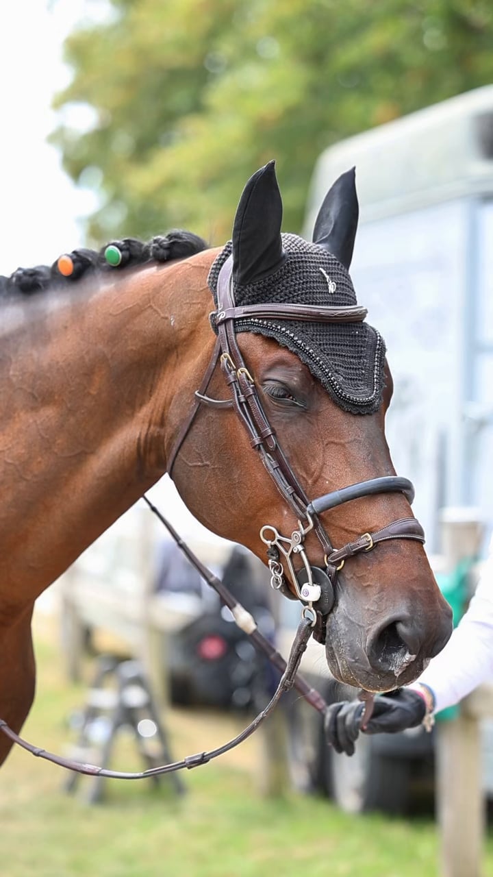 Colourful la cabelle jewellery in a braided mane