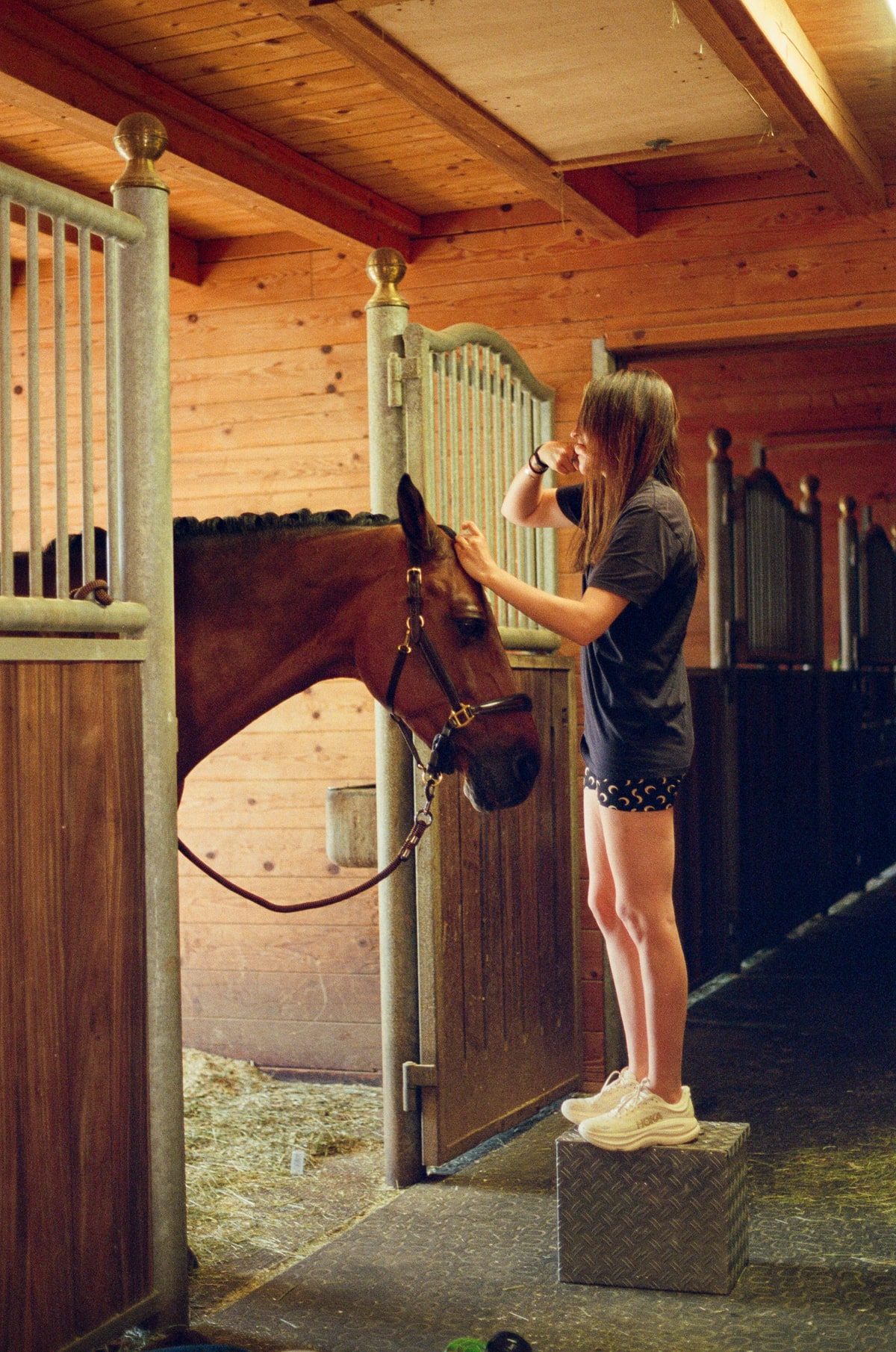 A moment from the equestrian world, captured on film
